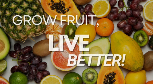 Benefits of Growing Fruits at Home