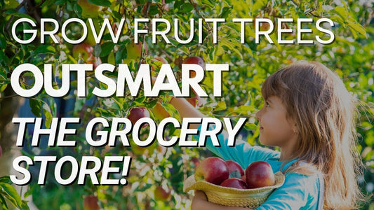 Turn Your Garden Into a Fruit-Packed Paradise!