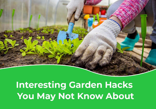 Interesting Garden Hacks You May Not Know About