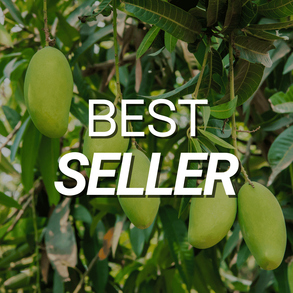 Best Seller