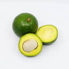 Tito Avocado Tree, Grafted Everglades Farm