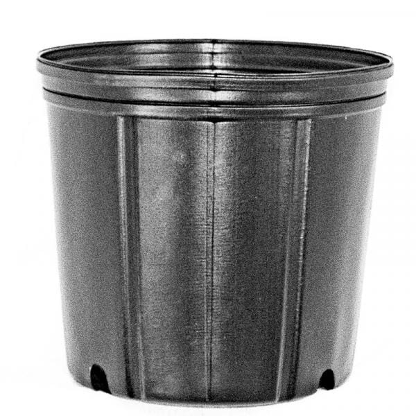 Pots 1 Gallons - Plastic Container Black - C300 Everglades Farm