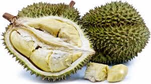 Durian Fruit Tree – Tropical Fruit Plant Everglades Farm