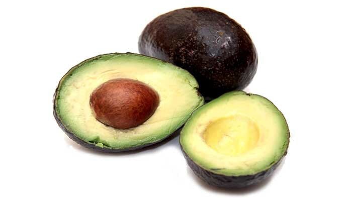Brogdon Avocado Tree, Cold Hardy, Grafted Fruit Trees 100-Carlos Tropical Fruits