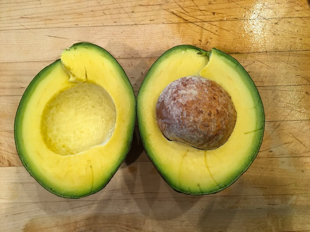 Kampong Avocado Tree, Grafted Fruit Trees Everglades Farm