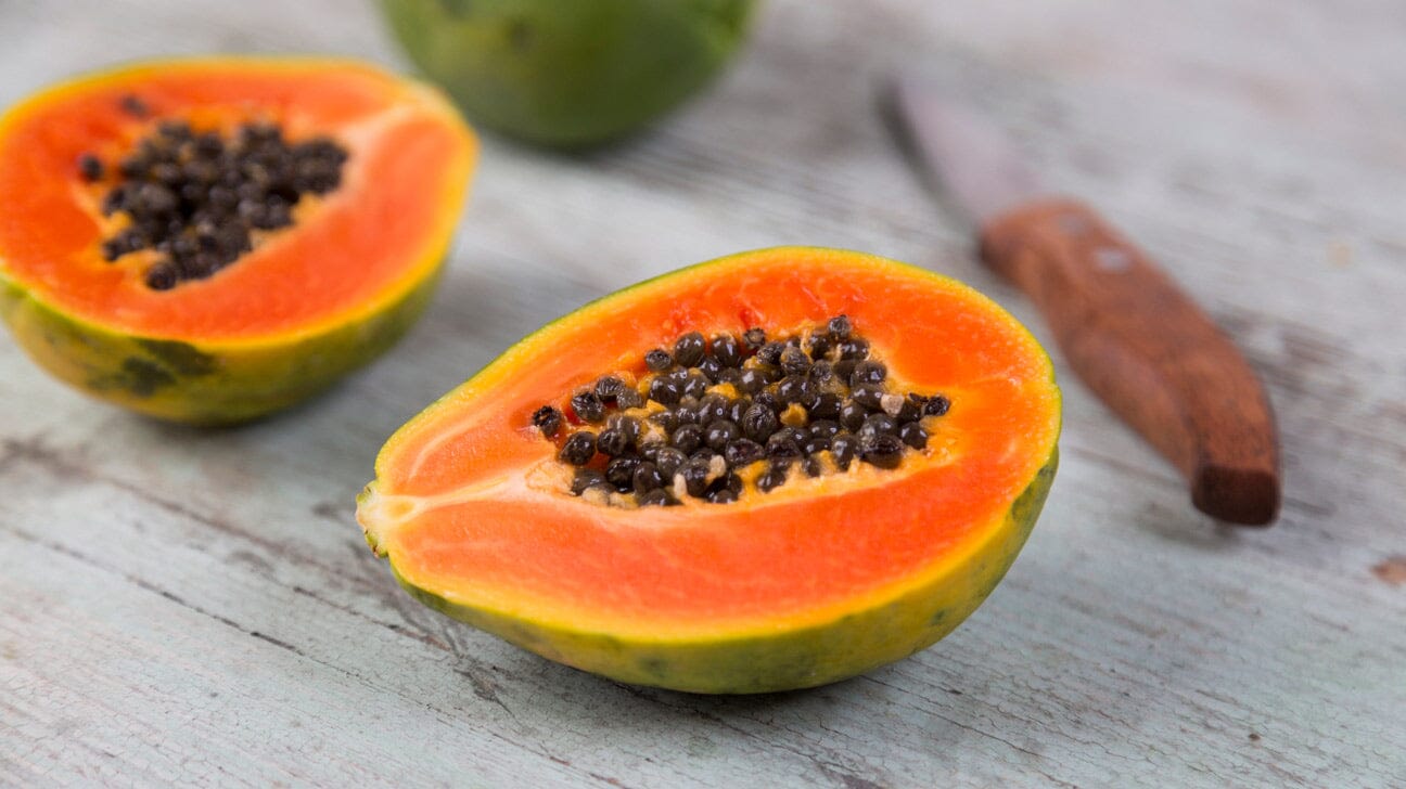 T.R. Hovey Dwarf Papaya Tree - Grow your own healthy papayas in pots Everglades Farm