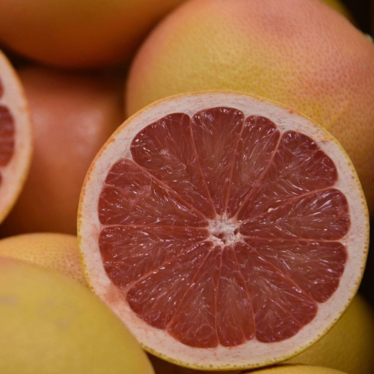 Star Ruby Grapefruit Tree - Dwarf Citrus for Home Gardens Everglades Farm