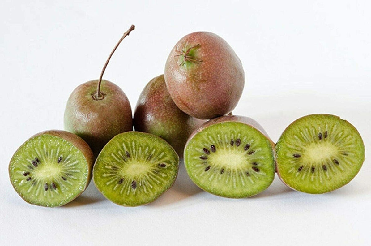 Fertilizer For Kiwi Vines - Learn About Fertilizing Kiwi Plants