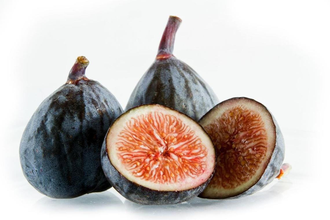 Dwarf Fig Tree "Beer's Black" 118-Agri-Starts Inc
