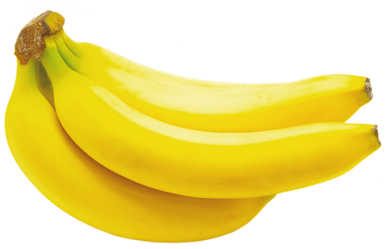 Cavendish Dwarf Banana Plant Everglades Farm