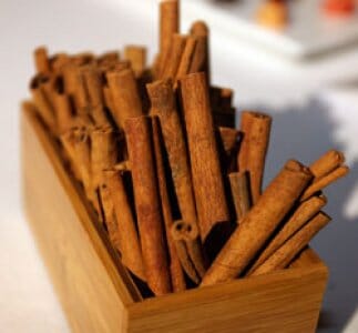 Cinnamon Tree 103-Pine Island Nursery