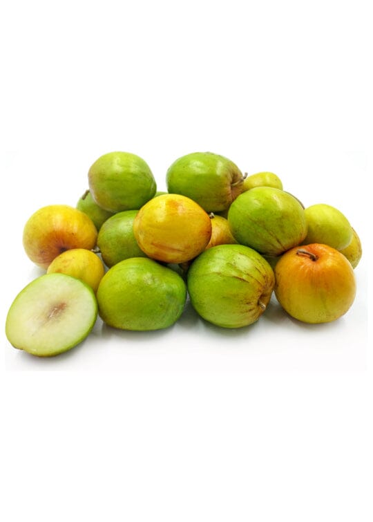 Jujube Tree Grafted 103-Pine Island Nursery