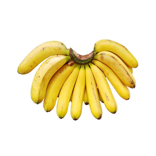 Pisang Raja Banana Plant 109-Going Bananas