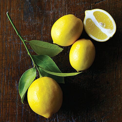 Meyer-Persian Cocktail Tree Fruit Trees 123-Holmberg Farms, Inc.