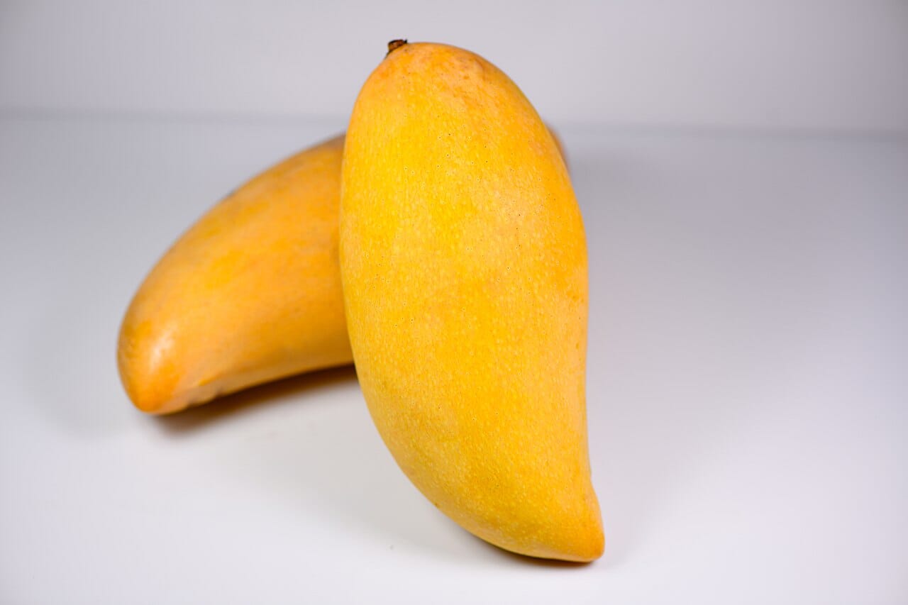 Nam Doc Mai # 4 Dwarf Mango Tree, Grafted Fruit Trees 102-Zill High Performance Plants