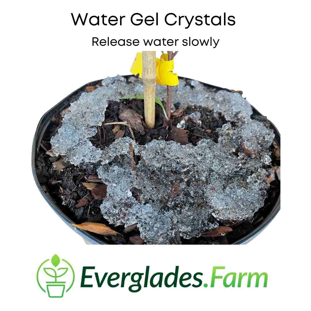Water Gel Crystals for Moisture Retention, prevents dehydration of plants, 12-ounce bag Everglades Farm