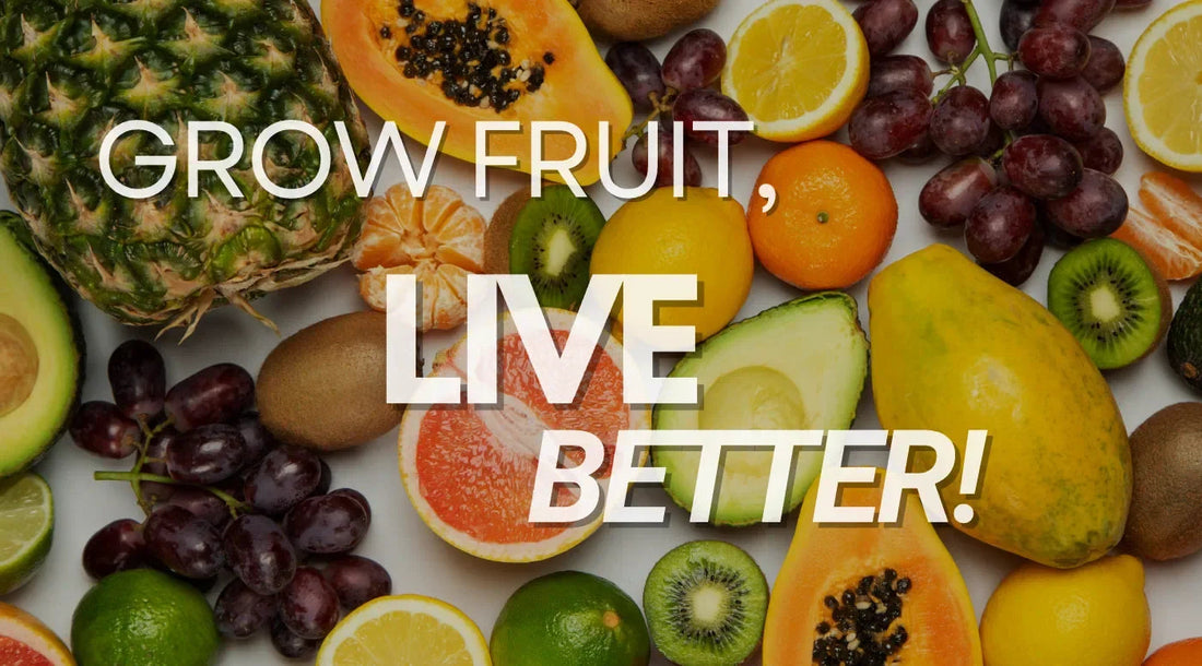 Benefits of Growing Fruits at Home