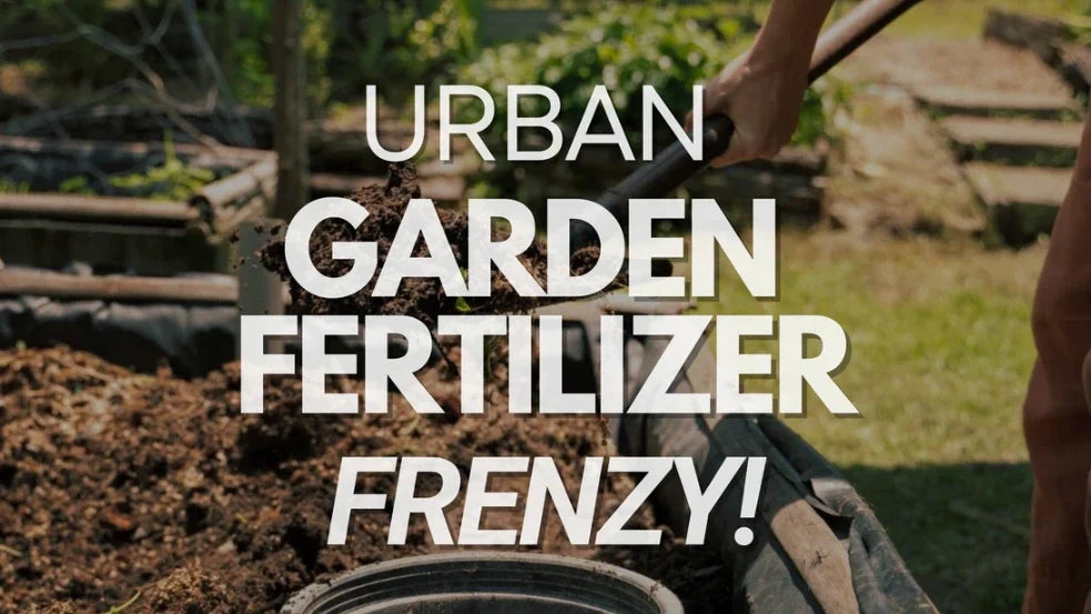 Everything You Need to Know About Fertilizing Your Urban Garden