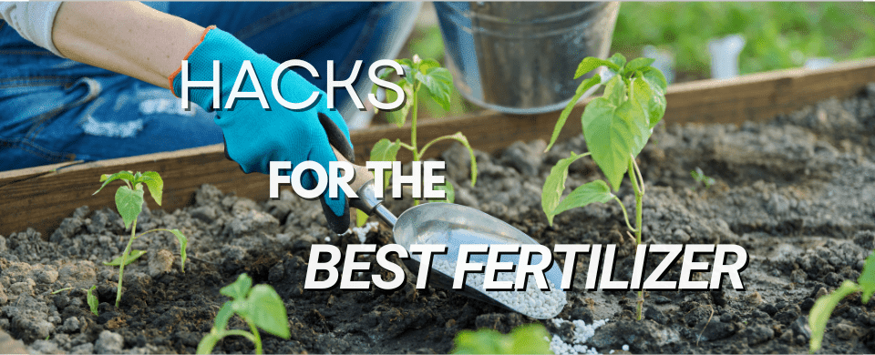 How to Make Your Own Fertilizer for Trees: Tips and Benefits 🌴🪴🏵️