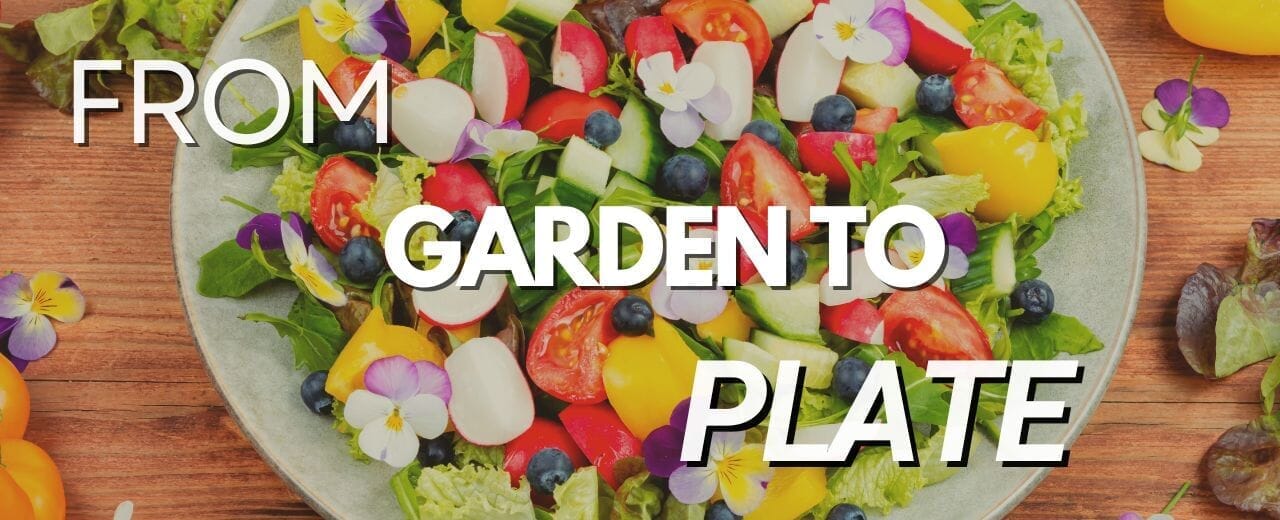 From Garden to Plate: Edible Flowers You Must Try