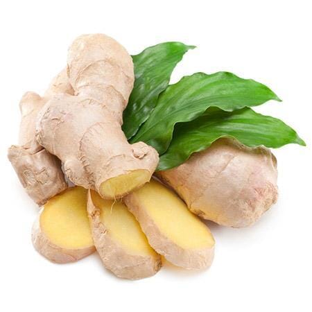 How to Grow Ginger in Florida: Complete Planting & Care Guide