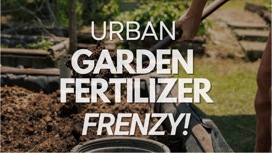 Everything You Need to Know About Fertilizing Your Urban Garden