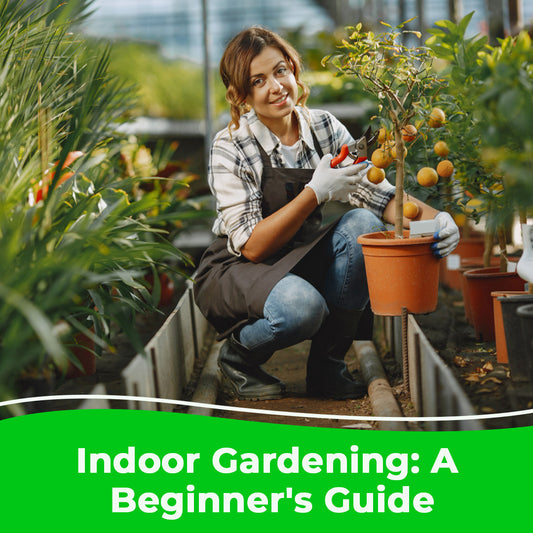 Indoor Gardening