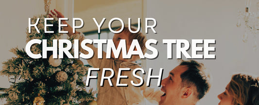 Keep your Christmas tree alive and thriving all season with these festive tips!