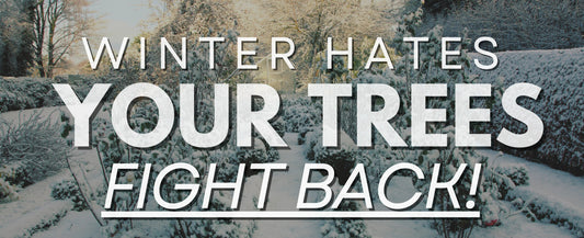 Winter is Trying to Murder Your Fruit Trees👀, Here’s How to Fight Back! 💪😜