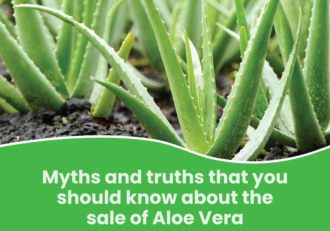 Myths And Truths That You Should Know About The Sale Of Aloe Vera
