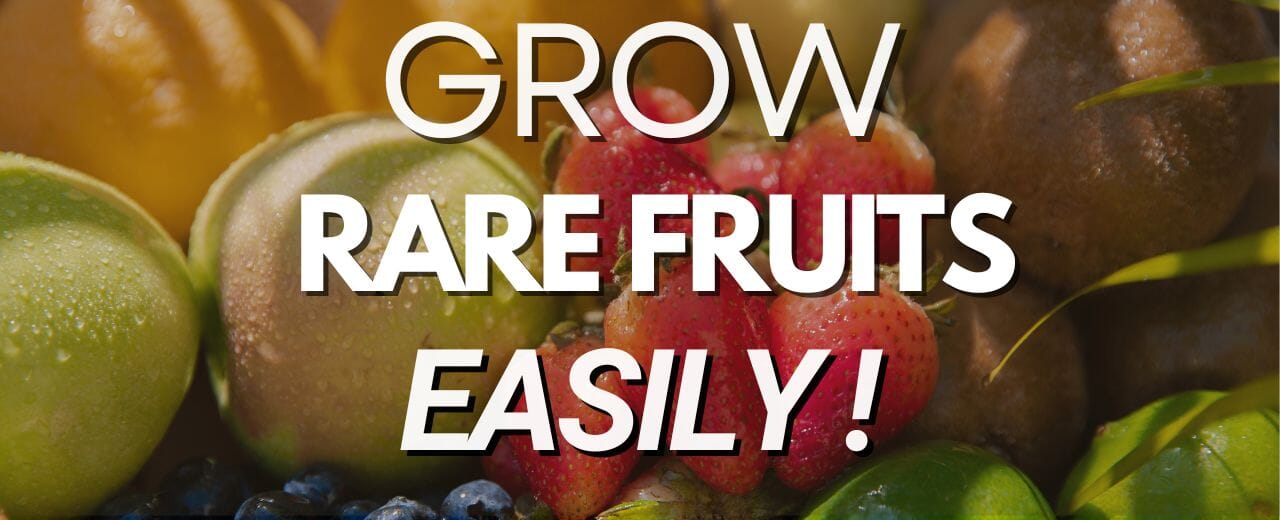 Rare Fruits You Can Grow in Your Garden and How to Cultivate Them