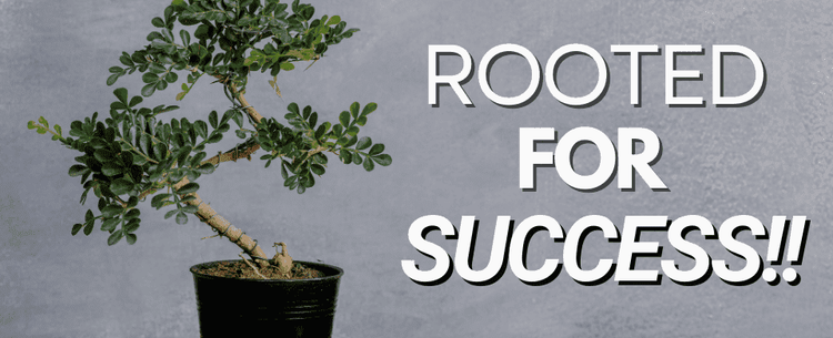 Tiny Roots, Big Impact: Understanding the Fascinating World of Dwarf Tree Root🪴
