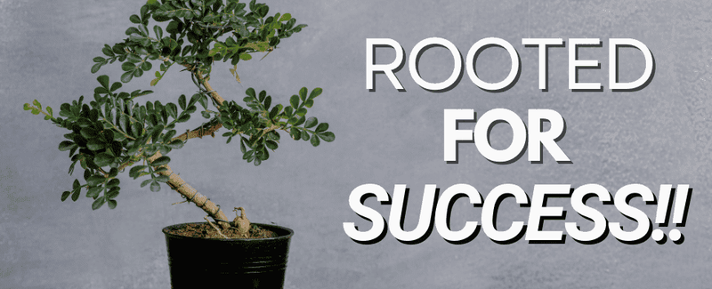 Tiny Roots, Big Impact: Understanding the Fascinating World of Dwarf Tree Root🪴