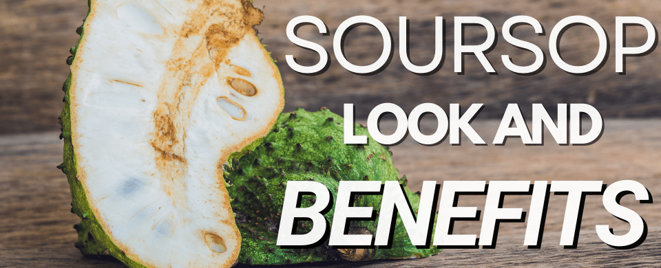 How to Identify Soursop Fruit, What It Looks Like, and Why You Should Eat It Every Day (Yes, Really)
