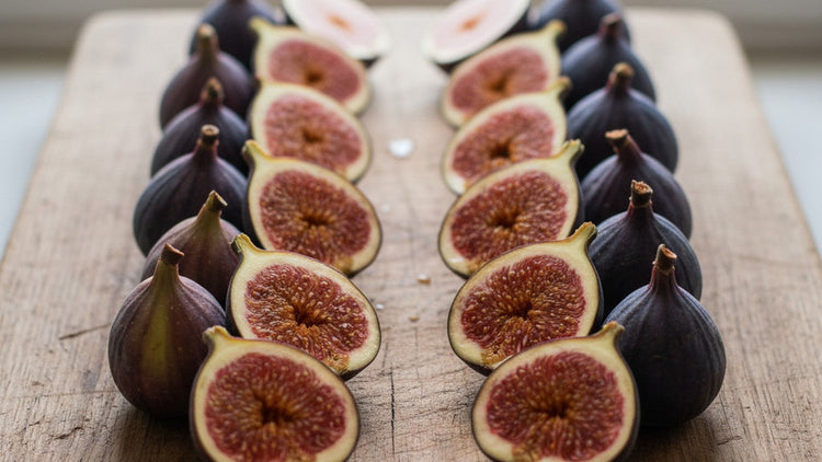 Brown Turkey vs Black Mission Fig: Which Is Better for Florida?