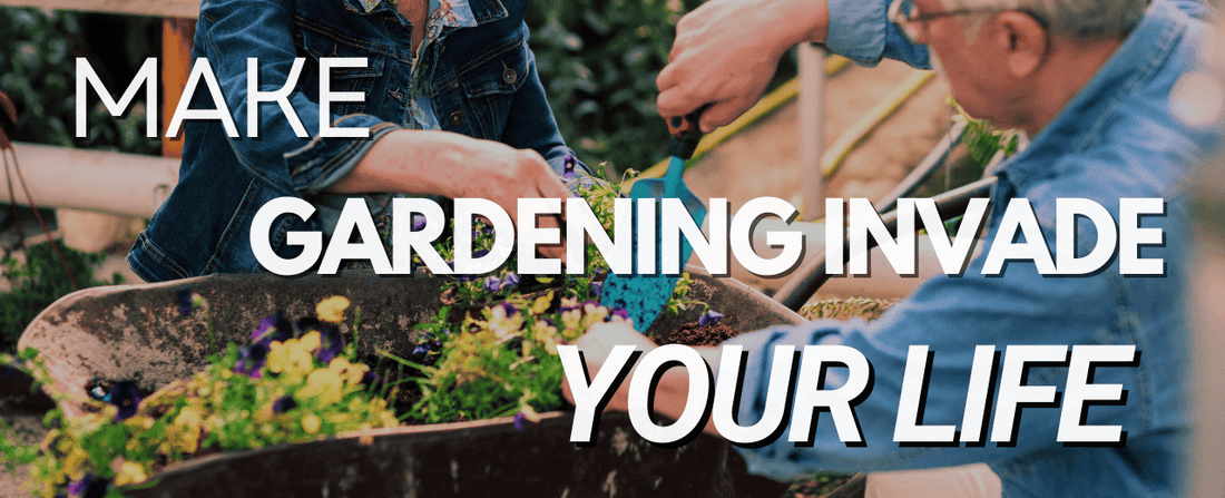 How to Incorporate Gardening into Your Daily Life