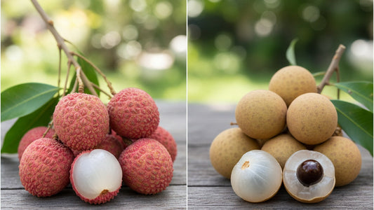 Lychee Tree vs Longan Tree: Key Differences for Florida Growers