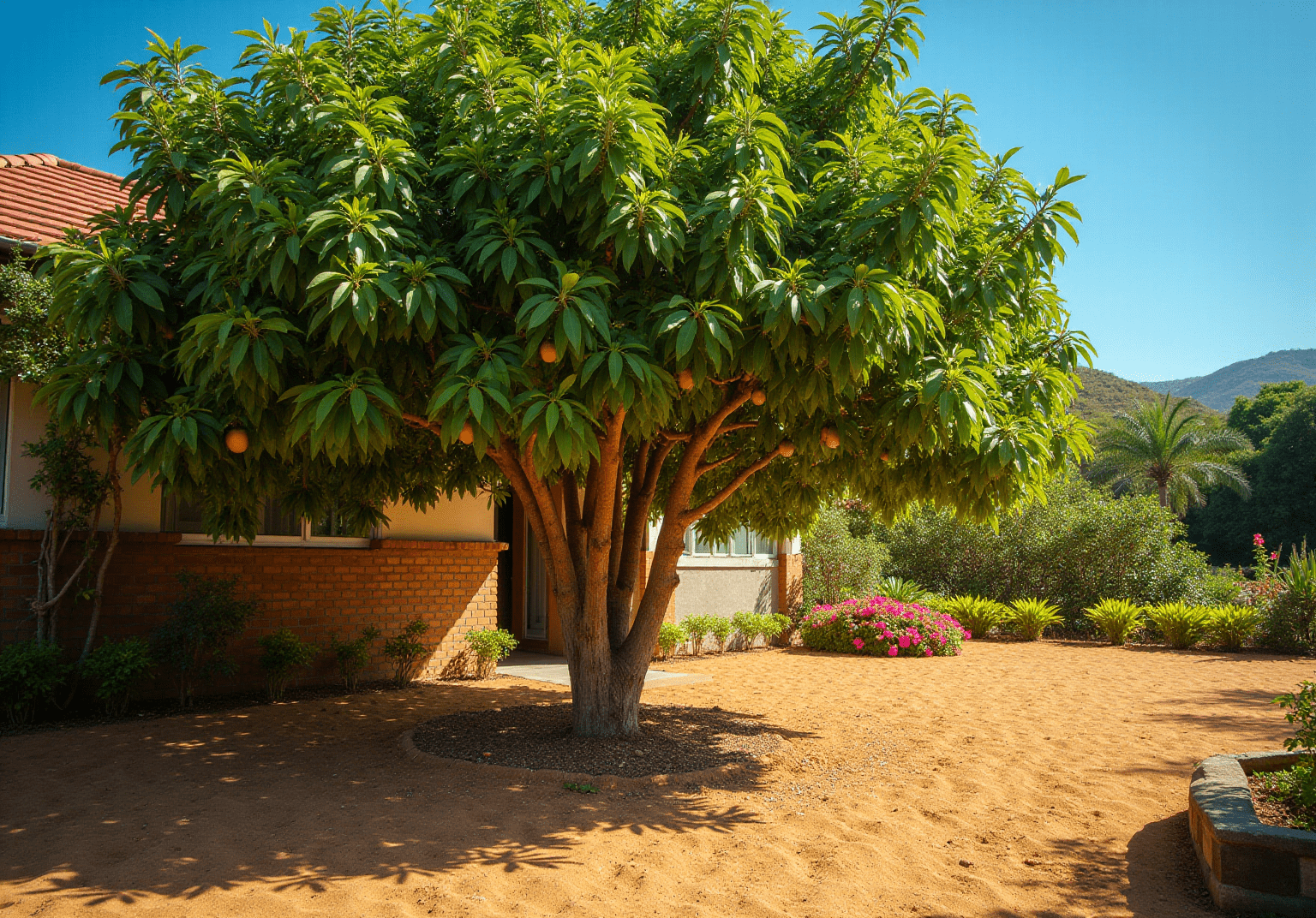 Master the Glenn Mango Tree: Essential Steps for Success