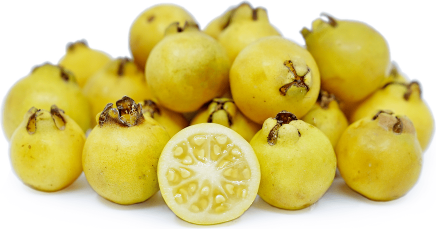 Lemon Guava