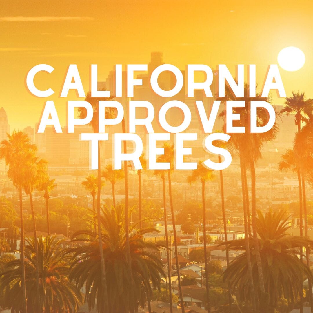 California Approved Trees