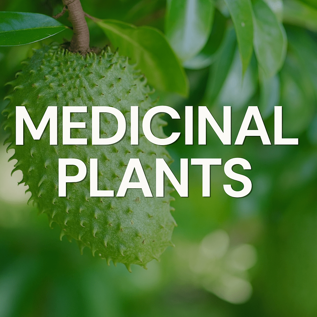 Medicinal Plants