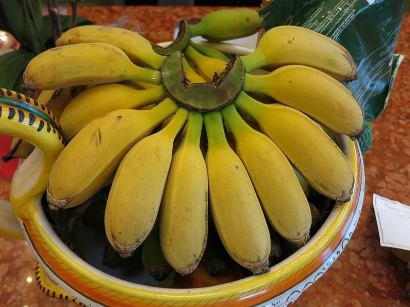 Bananas