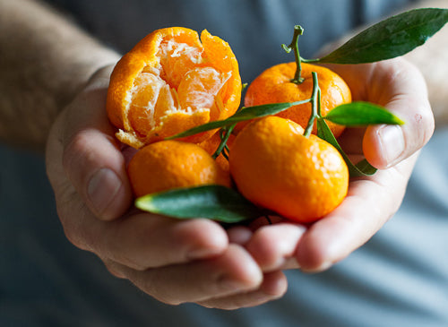 Grafted Mandarin Trees for Sale, fast growing and ready to bloom