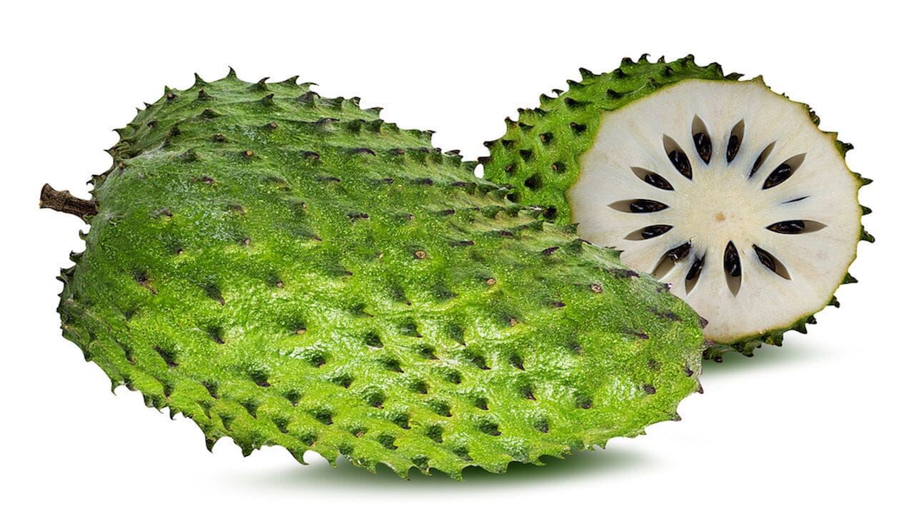 Soursop - Guanabana Trees