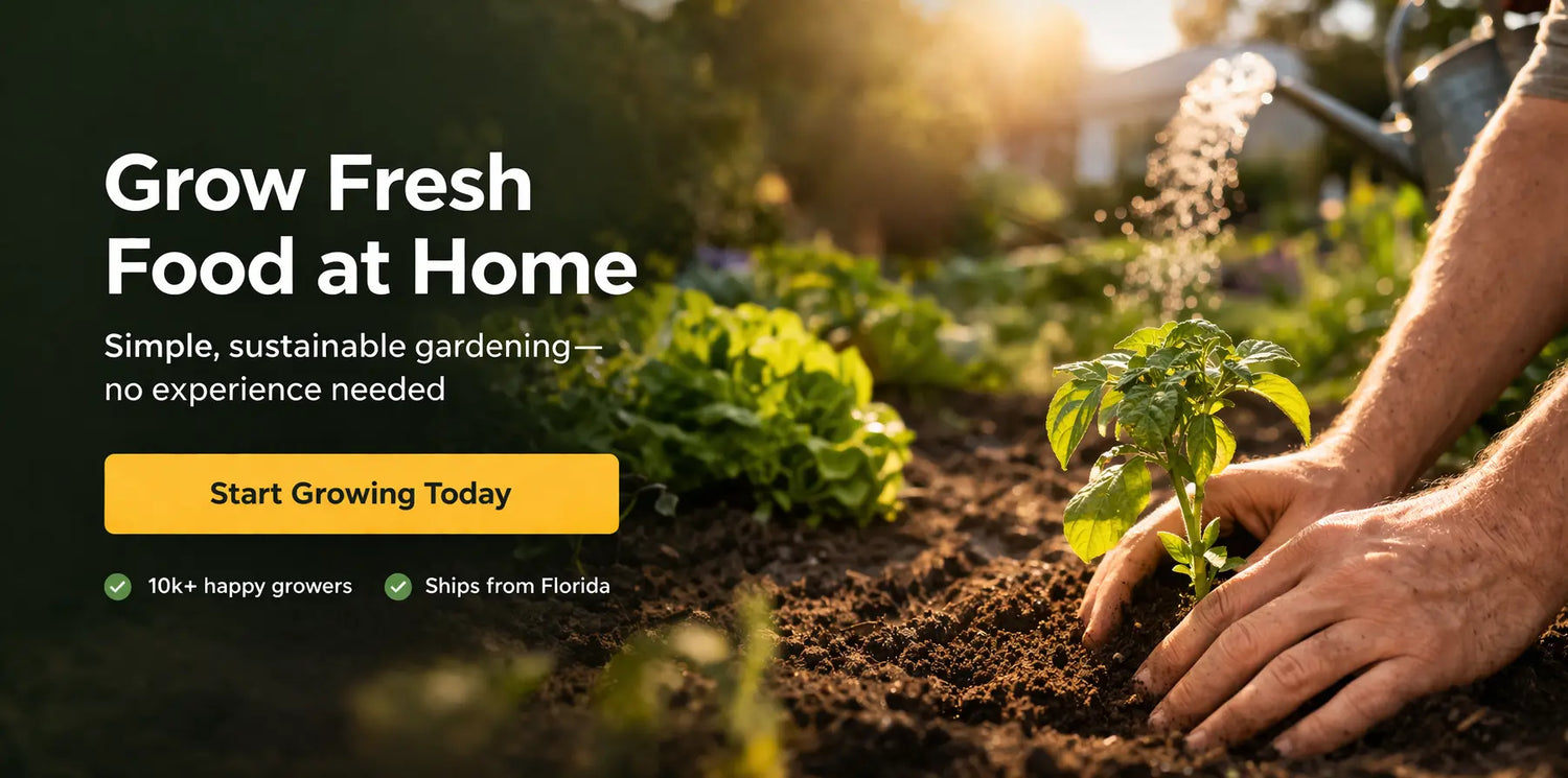 Enjoy our collection of pomegranate for year-round greenery.