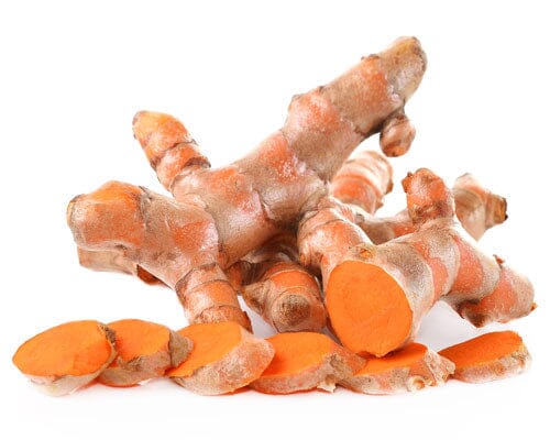 Yellow Turmeric Ginger | Curcuma Longa Plant Everglades Farm 