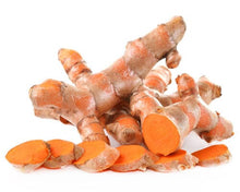 Yellow Turmeric Ginger | Curcuma Longa Plant Everglades Farm 