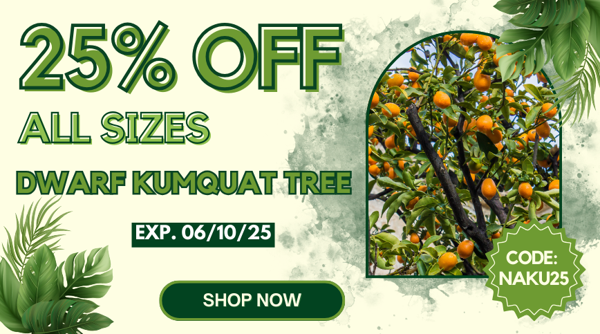 Promotional banner