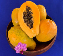 Load image into Gallery viewer, Hawaiian Papaya Tree 2-3 feet tall &amp; 3 gal. container For Sale from Florida
