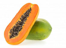 Broadleaf Dwarf Papaya Plant - Tropical Tree with Stunning Foliage Everglades Farm